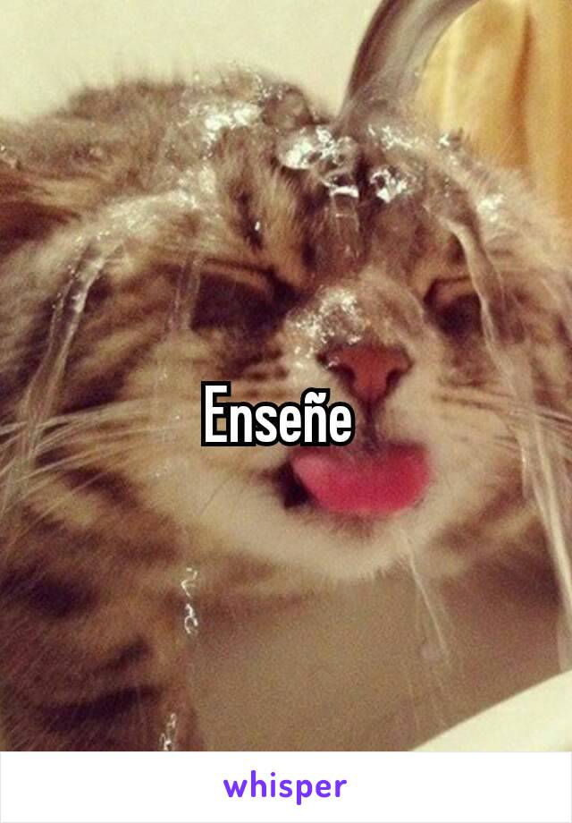 Enseñe 