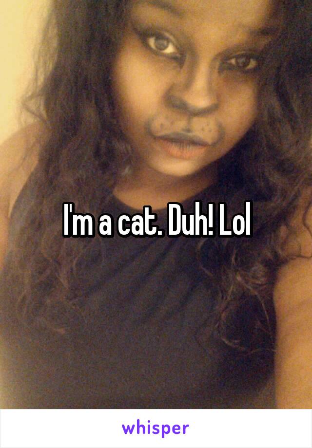 I'm a cat. Duh! Lol