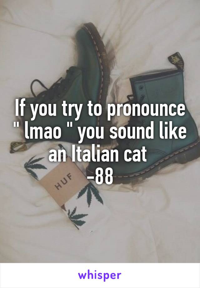 If you try to pronounce " lmao " you sound like an Italian cat 
-88