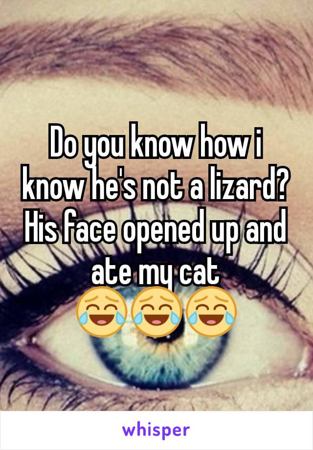 Do you know how i know he's not a lizard? His face opened up and ate my cat
😂😂😂