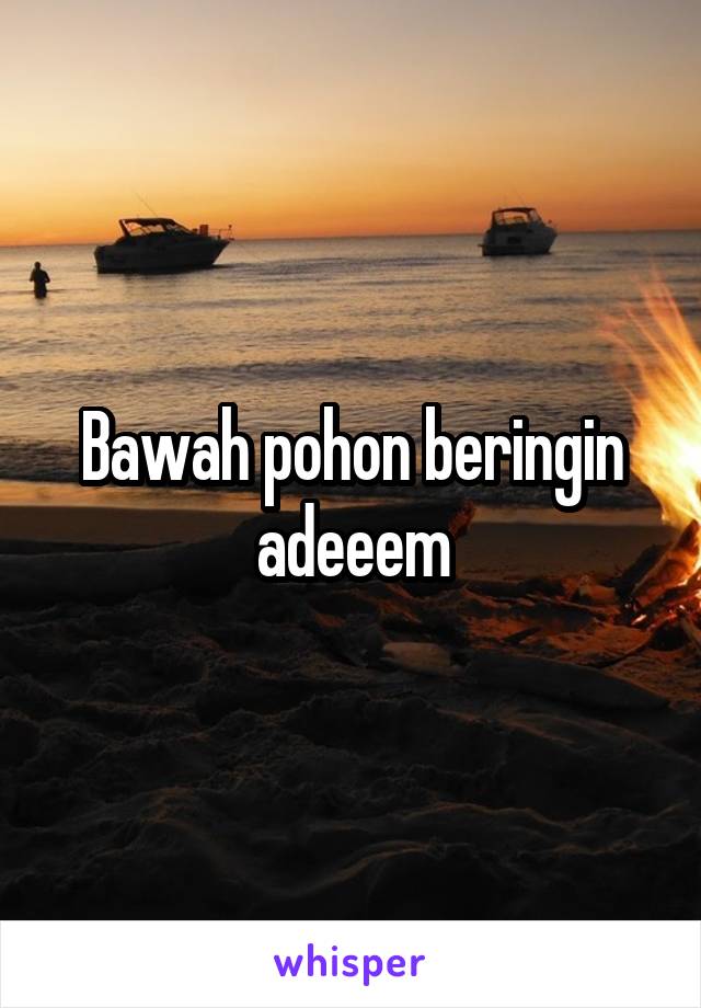 Bawah pohon beringin adeeem