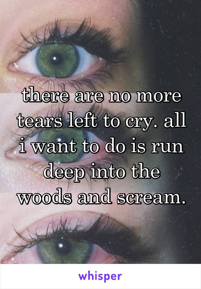 there are no more tears left to cry. all i want to do is run deep into the woods and scream.