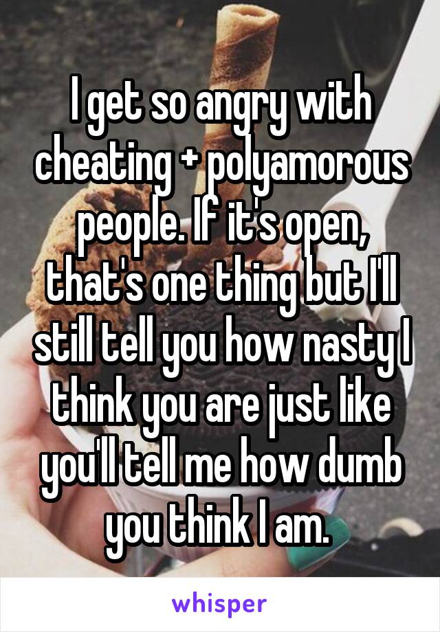 I get so angry with cheating + polyamorous people. If it's open, that's one thing but I'll still tell you how nasty I think you are just like you'll tell me how dumb you think I am. 