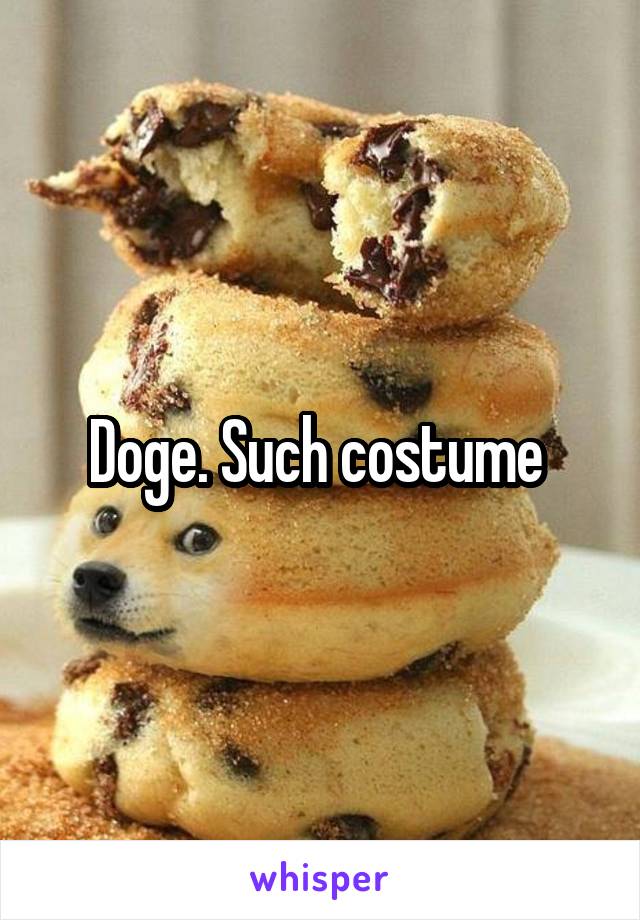Doge. Such costume 