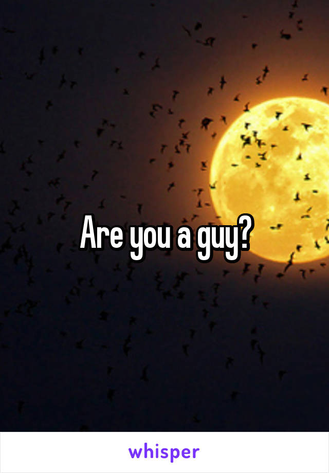 Are you a guy?