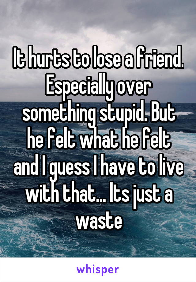 It hurts to lose a friend. Especially over something stupid. But he felt what he felt and I guess I have to live with that... Its just a waste