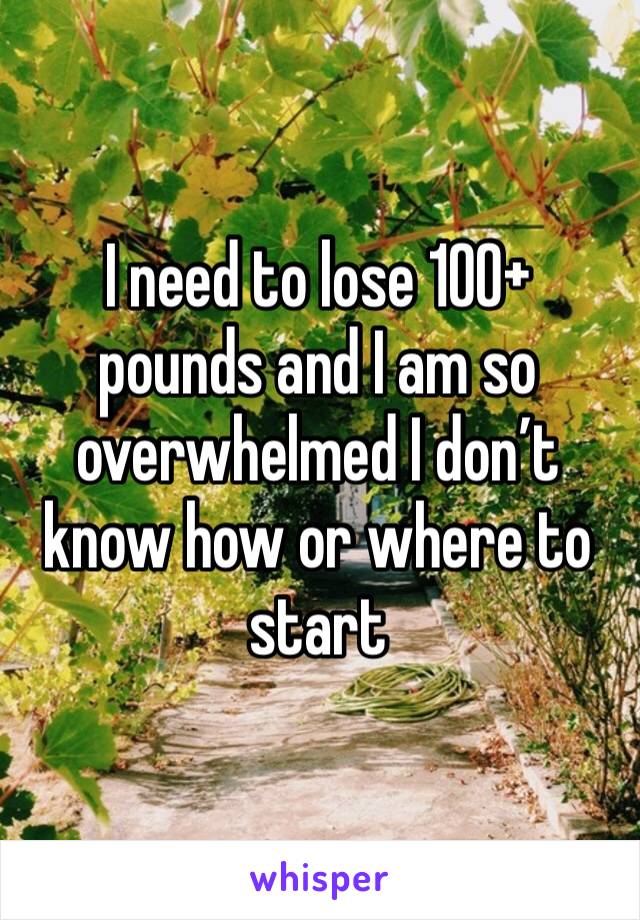 I need to lose 100+ pounds and I am so overwhelmed I don’t know how or where to start