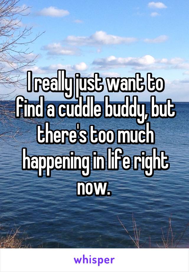 I really just want to find a cuddle buddy, but there's too much happening in life right now. 