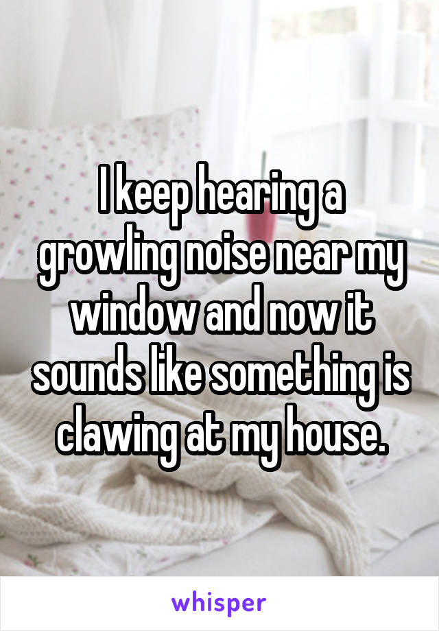 I keep hearing a growling noise near my window and now it sounds like something is clawing at my house.