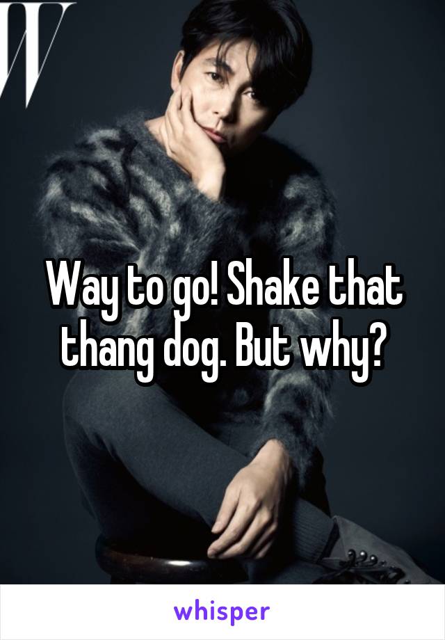 Way to go! Shake that thang dog. But why?