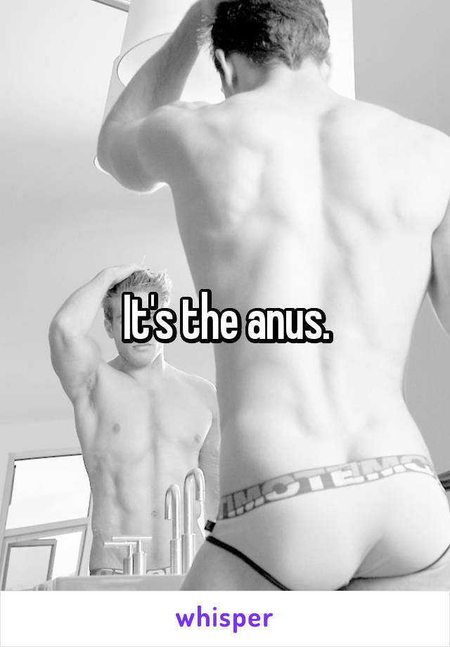 It's the anus.