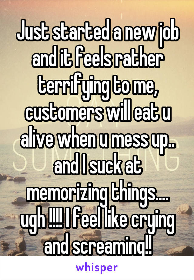 Just started a new job and it feels rather terrifying to me, customers will eat u alive when u mess up.. and I suck at memorizing things.... ugh !!!! I feel like crying and screaming!!