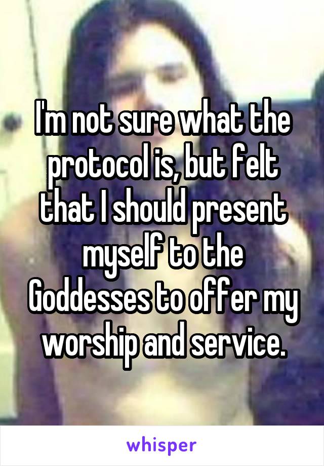 I'm not sure what the protocol is, but felt that I should present myself to the Goddesses to offer my worship and service.