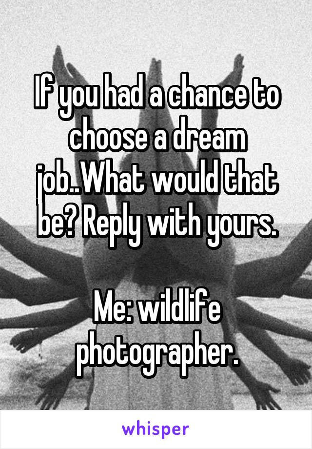 If you had a chance to choose a dream job..What would that be? Reply with yours.

Me: wildlife photographer.