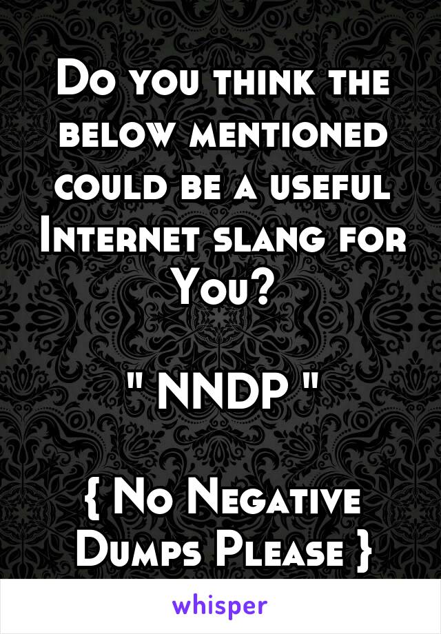 Do you think the below mentioned could be a useful Internet slang for You?

" NNDP "

{ No Negative Dumps Please }