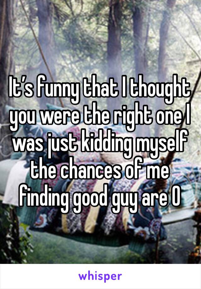 It’s funny that I thought you were the right one I was just kidding myself the chances of me finding good guy are 0