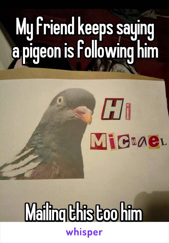 My friend keeps saying a pigeon is following him






Mailing this too him 