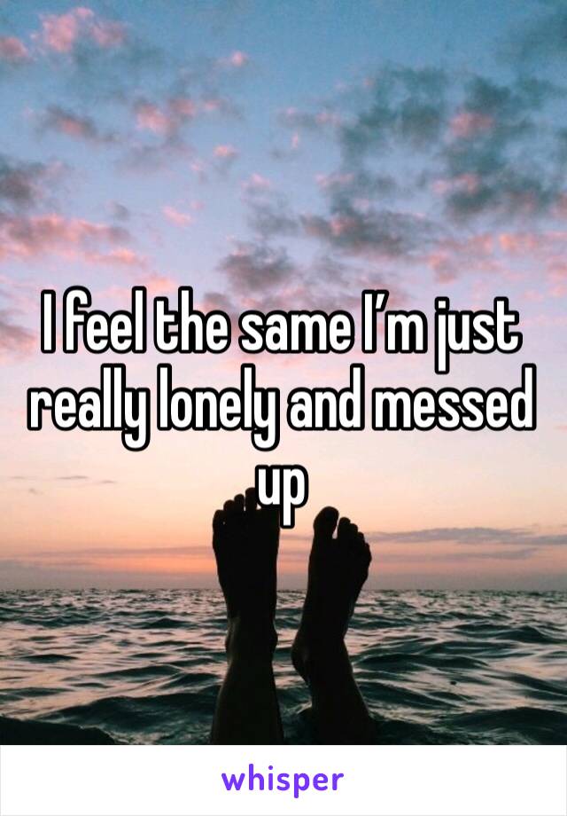 I feel the same I’m just really lonely and messed up