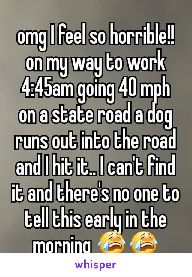 omg I feel so horrible!! on my way to work 4:45am going 40 mph on a state road a dog runs out into the road and I hit it.. I can't find it and there's no one to tell this early in the morning 😭😭