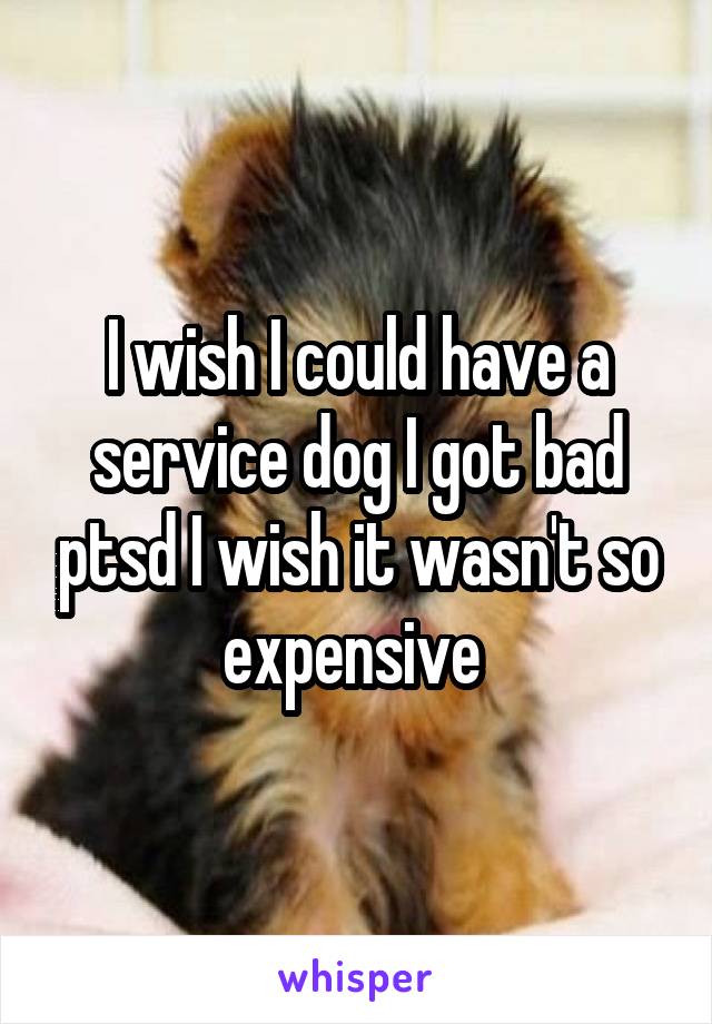 I wish I could have a service dog I got bad ptsd I wish it wasn't so expensive 