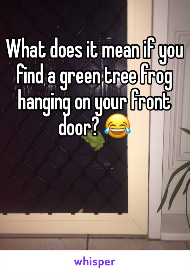 What does it mean if you find a green tree frog hanging on your front door? 😂