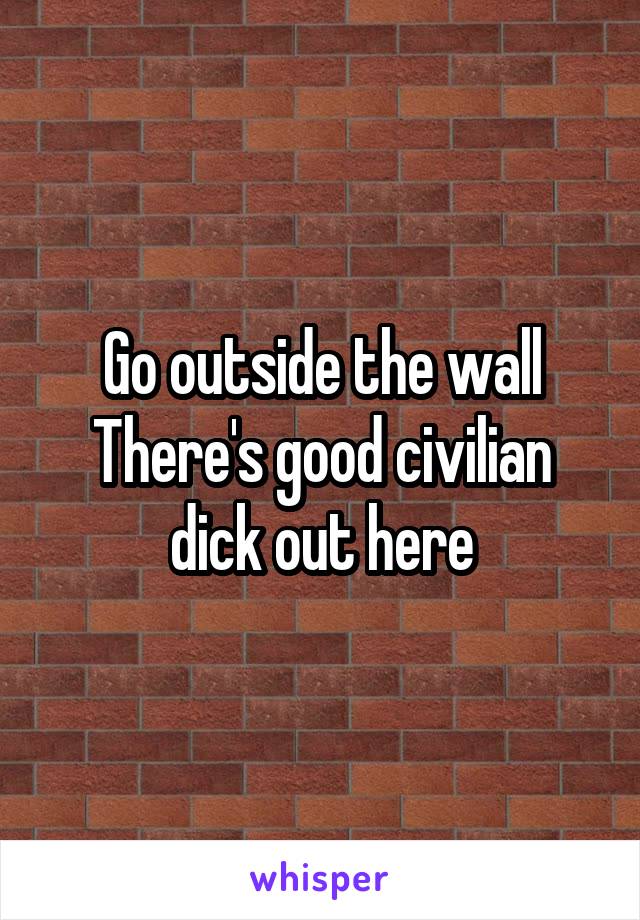 Go outside the wall
There's good civilian dick out here