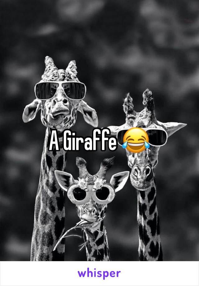 A Giraffe 😂