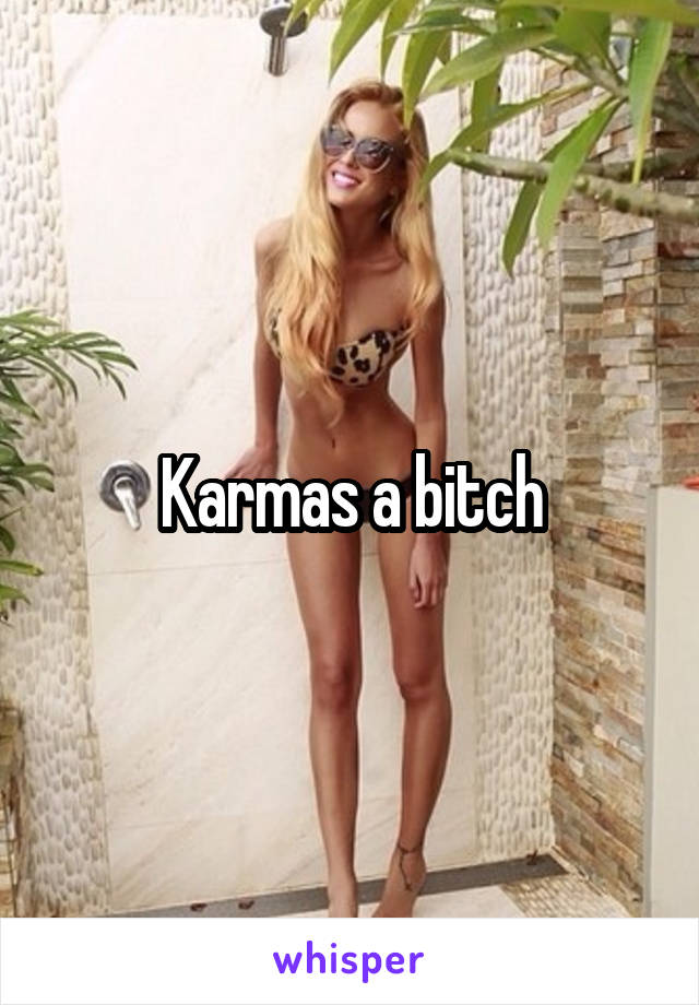 Karmas a bitch