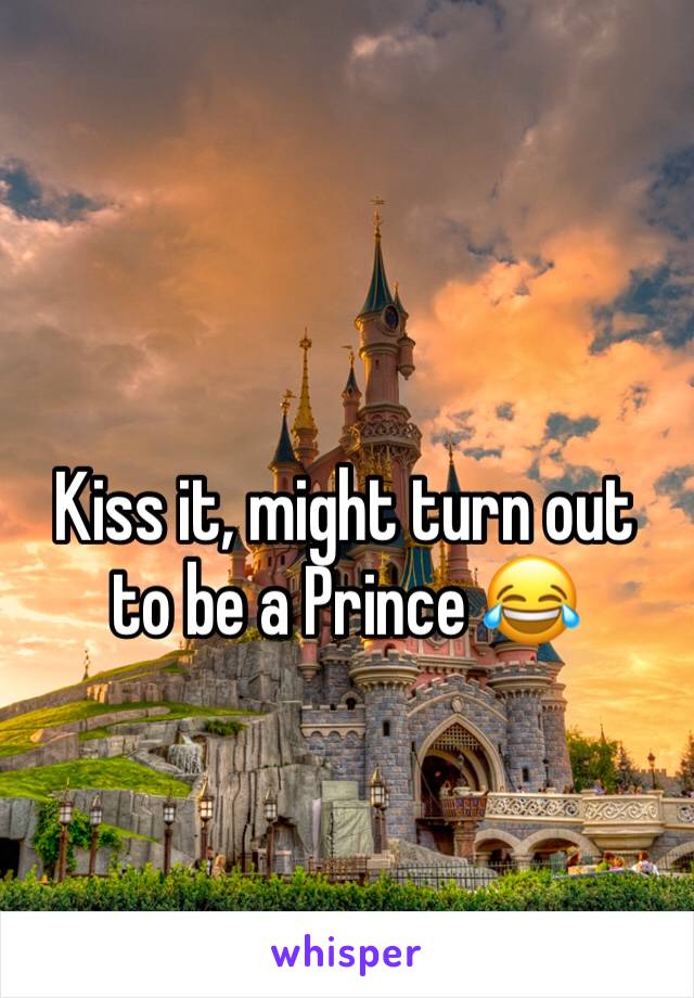 Kiss it, might turn out to be a Prince 😂