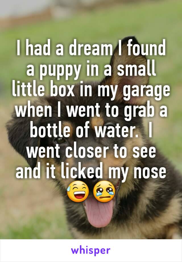 I had a dream I found a puppy in a small little box in my garage when I went to grab a bottle of water.  I went closer to see and it licked my nose😅😢
