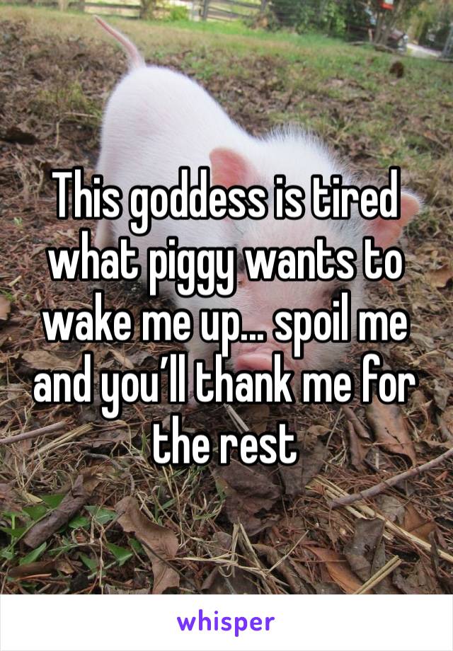 This goddess is tired what piggy wants to wake me up... spoil me and you’ll thank me for the rest