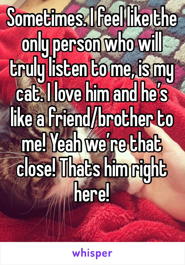 Sometimes. I feel like the only person who will truly listen to me, is my cat. I love him and he’s like a friend/brother to me! Yeah we’re that close! Thats him right here! 