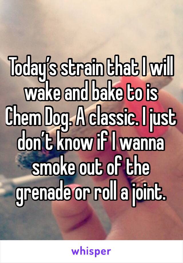 Today’s strain that I will wake and bake to is Chem Dog. A classic. I just don’t know if I wanna smoke out of the grenade or roll a joint. 