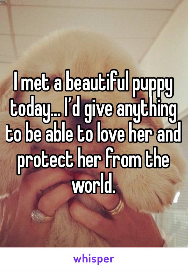 I met a beautiful puppy today... I’d give anything to be able to love her and protect her from the world. 