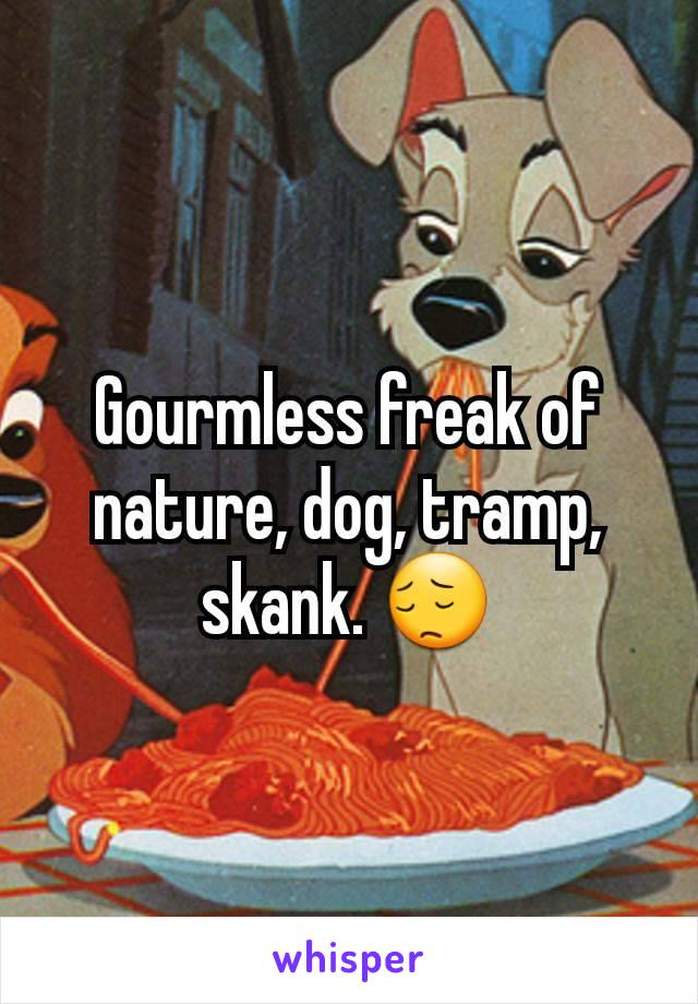 Gourmless freak of nature, dog, tramp, skank. 😔