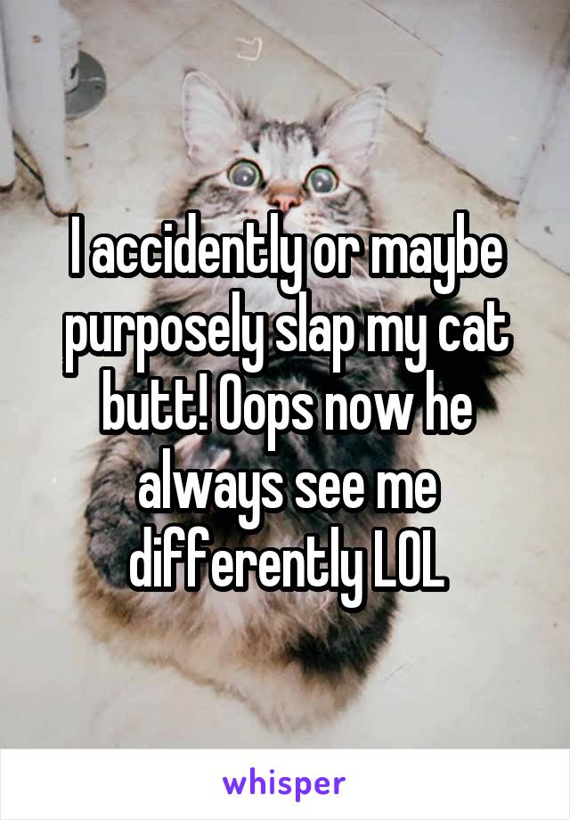 I accidently or maybe purposely slap my cat butt! Oops now he always see me differently LOL