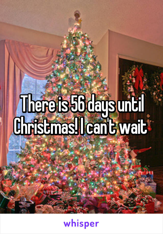 There is 56 days until Christmas! I can't wait 