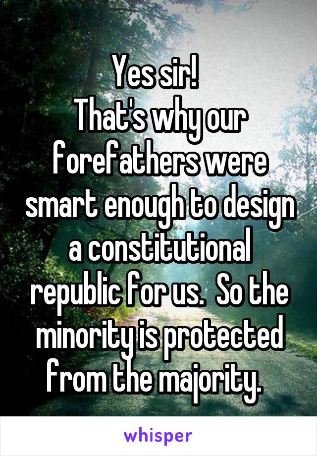 Yes sir!  
That's why our forefathers were smart enough to design a constitutional republic for us.  So the minority is protected from the majority.  