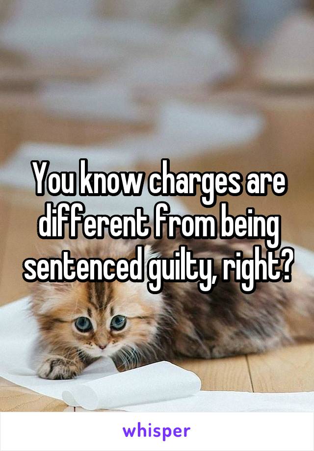 You know charges are different from being sentenced guilty, right?