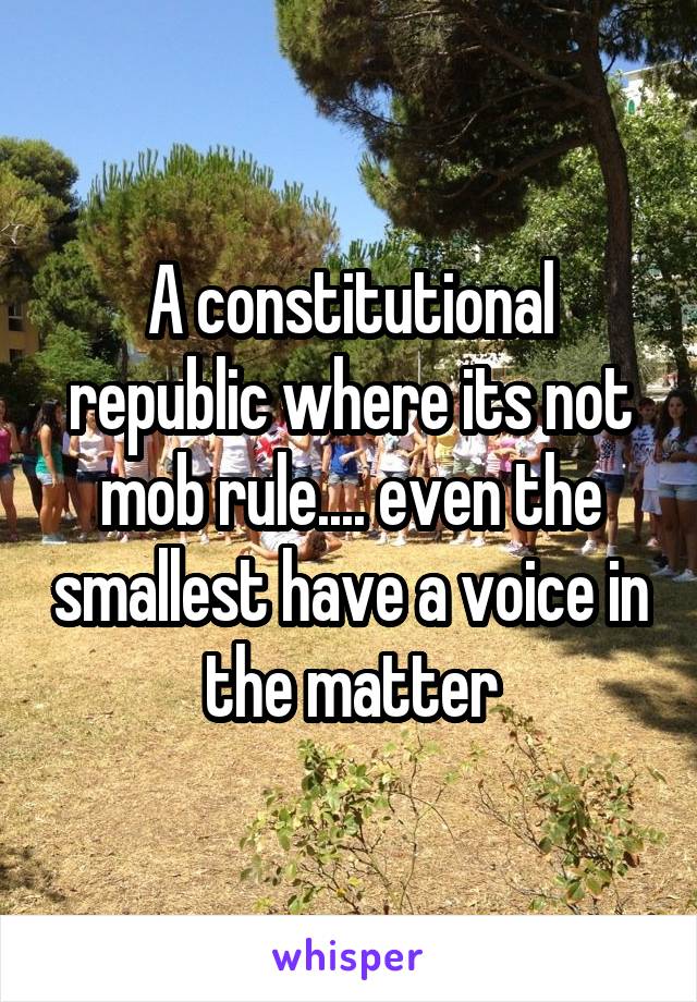 A constitutional republic where its not mob rule.... even the smallest have a voice in the matter