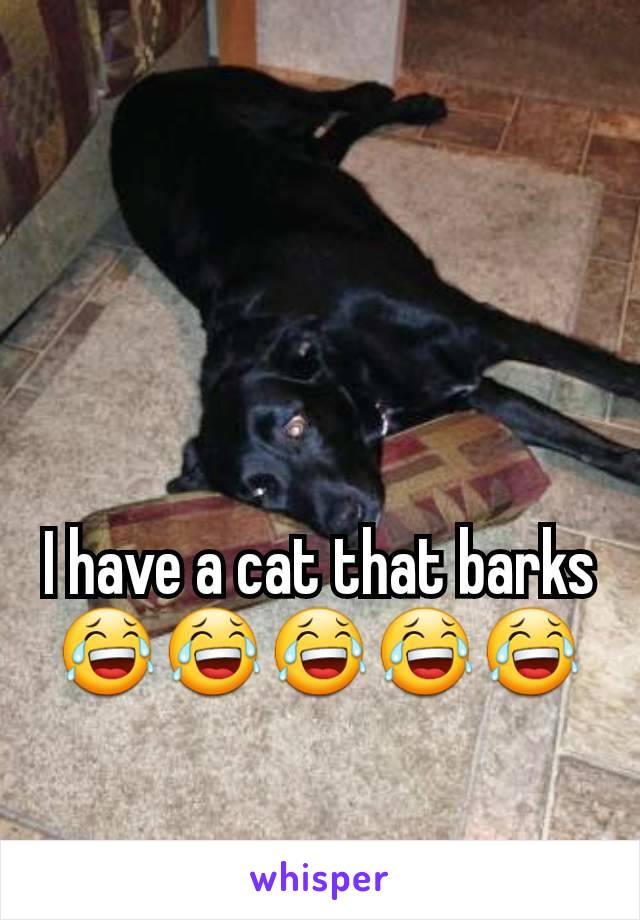 I have a cat that barks
😂😂😂😂😂