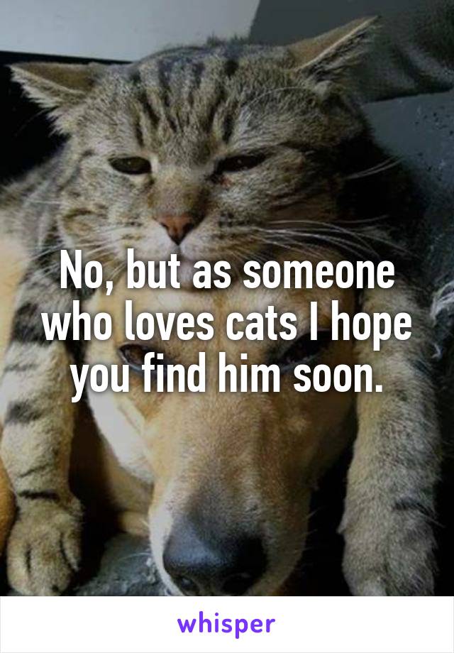 No, but as someone who loves cats I hope you find him soon.