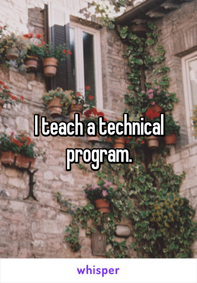 I teach a technical program.