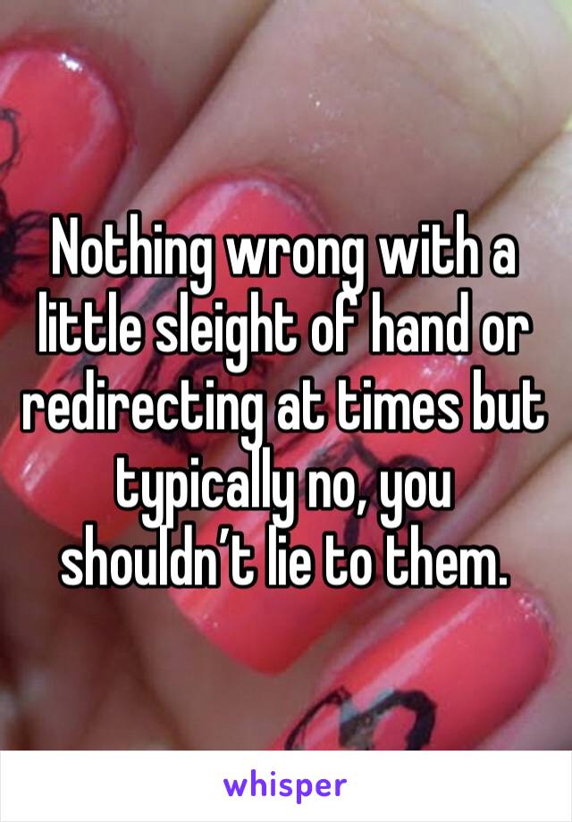 Nothing wrong with a little sleight of hand or redirecting at times but typically no, you shouldn’t lie to them. 