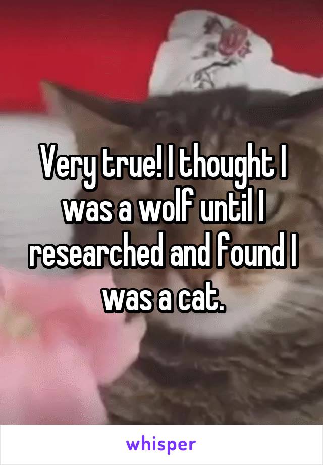 Very true! I thought I was a wolf until I researched and found I was a cat.
