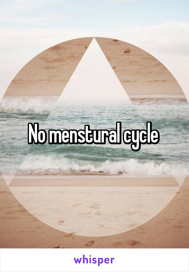 No menstural cycle 