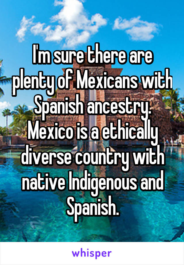 I'm sure there are plenty of Mexicans with Spanish ancestry. Mexico is a ethically diverse country with native Indigenous and Spanish.
