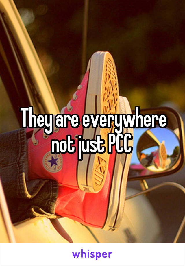 They are everywhere not just PCC 