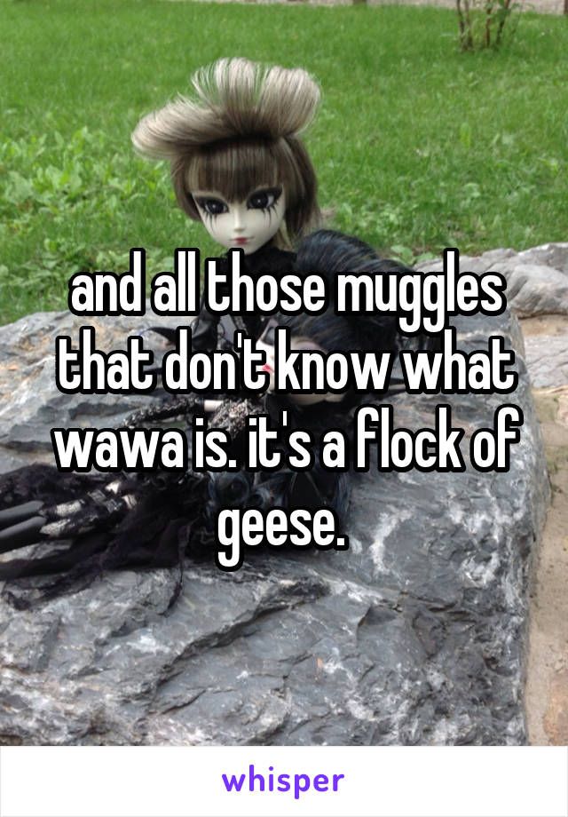 and all those muggles that don't know what wawa is. it's a flock of geese. 