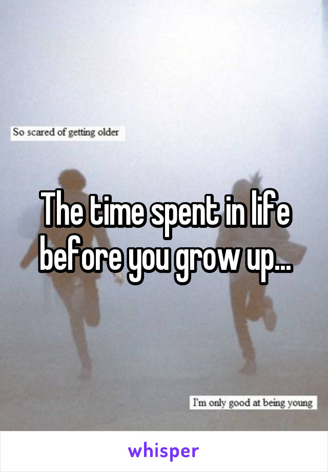 The time spent in life before you grow up...